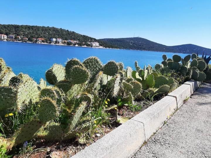 Tal Apart otel Tisno Dış mekan fotoğraf